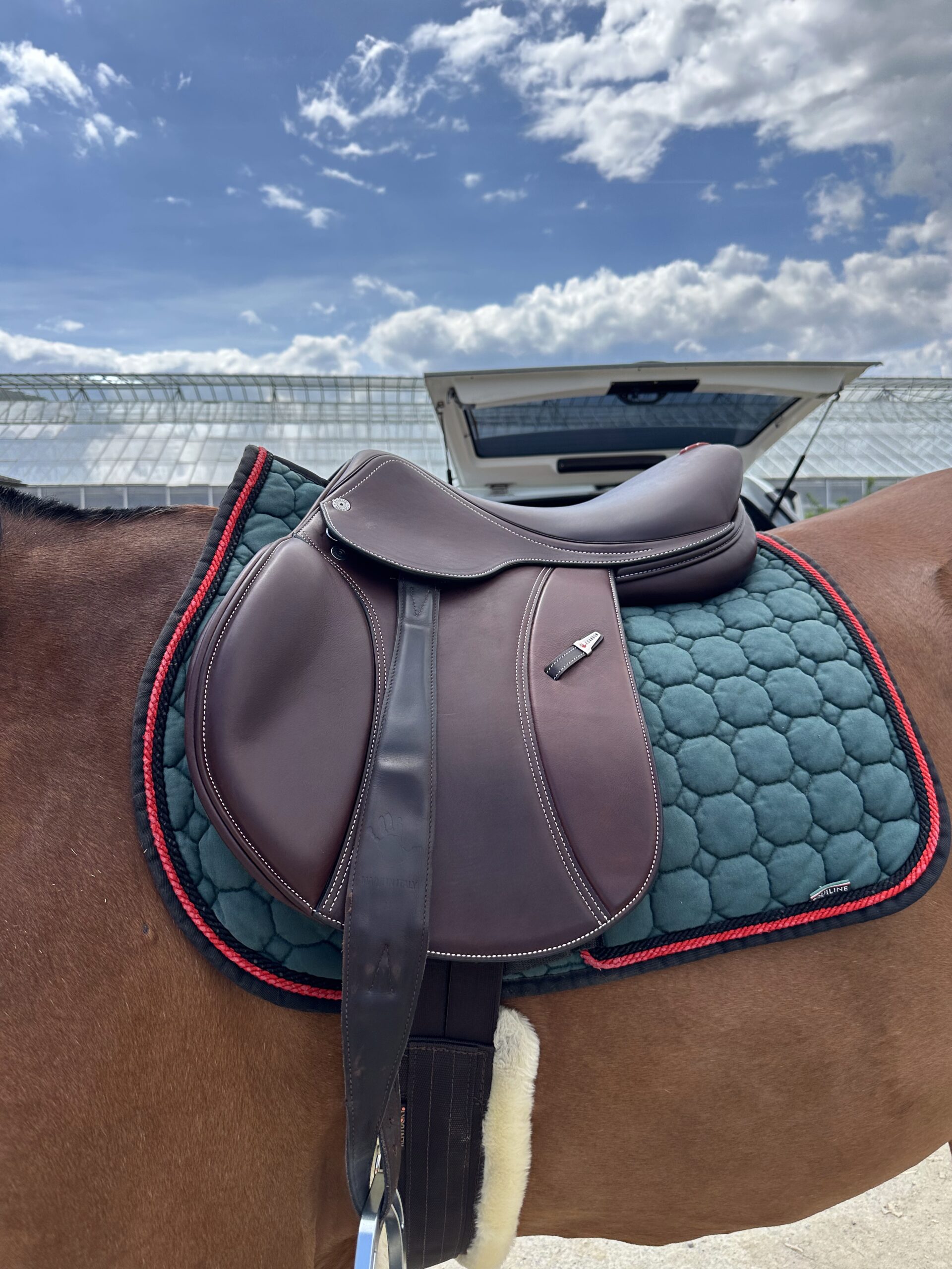 Equipe Special Grand Prix Grip Springsattel